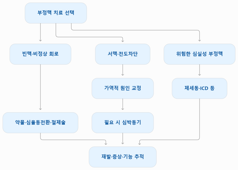 의학이론 제6편 내과계 및 관련 전신질환ㅣ제4장 부정맥