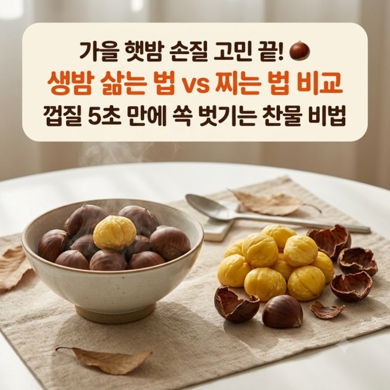 가을 햇밤 삶는 시간과 찌는법 차이! 율피까지 쉽게 까는법 & 생밤 신선 보관 꿀팁