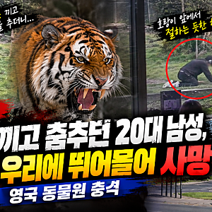 헤드폰 끼고 춤추던 20대 남성, 호랑이 우리에 뛰어들어 사망…영국 동물원 충격