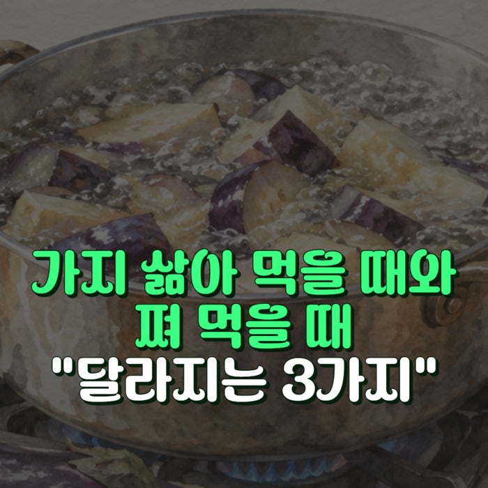 가지 효능 삶아 먹을 때와 쪄 먹을 때 달라지는 3가지