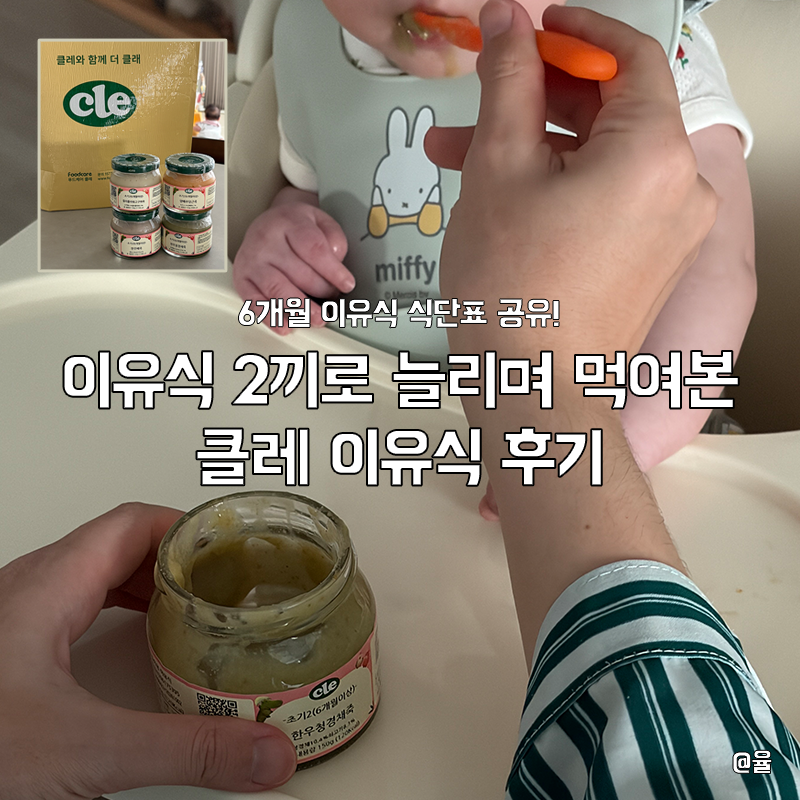 6개월 이유식 식단표, 2끼는 언제부터? 시판 이유식 클레 병행후기