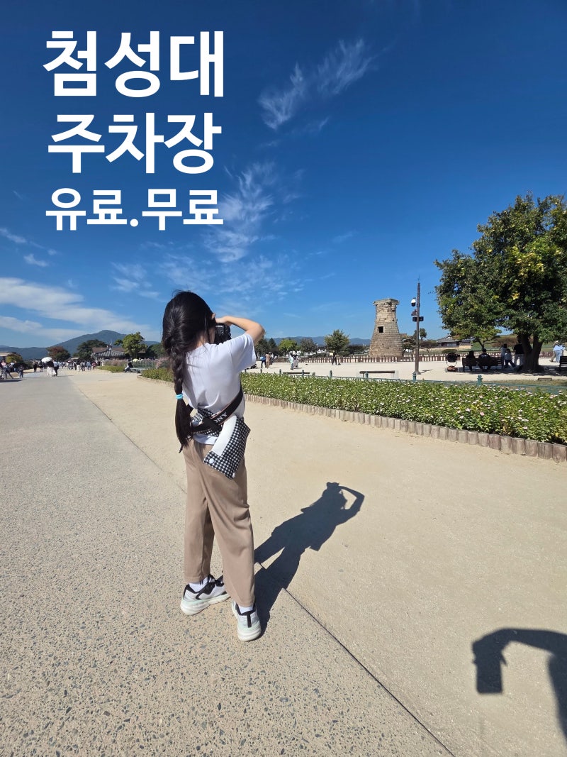 경주 첨성대-황리단길. 대릉원. 핑크뮬리. 해바라기밭 주차 꿀팁 (무료주차팁)