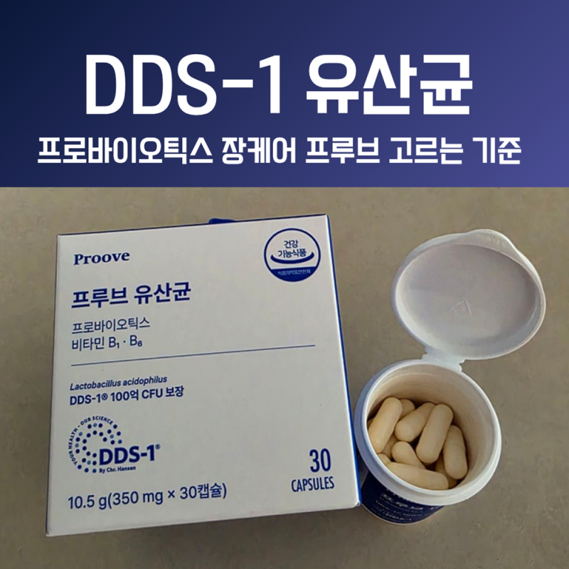 장건강 유산균 프로바이오틱스 프루브 DDS-1 고르는 기준