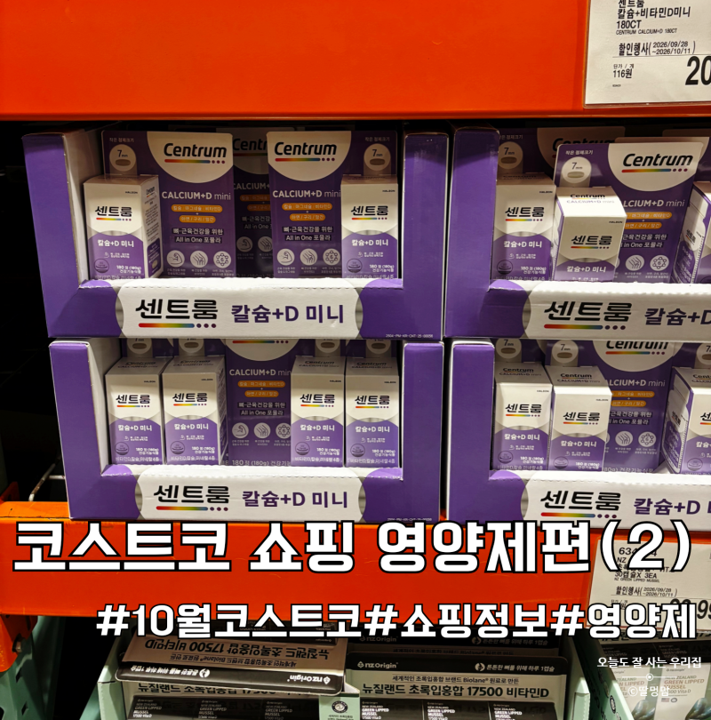코스트코 10월 영양제 추천 비타민D·비타민C·칼슘 가격 및 할인기간 총정리