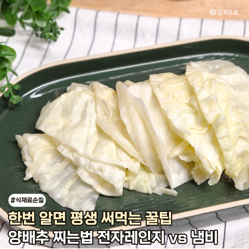 실패 없는 양배추 찌는법, 전자레인지 vs 냄비 시간은?