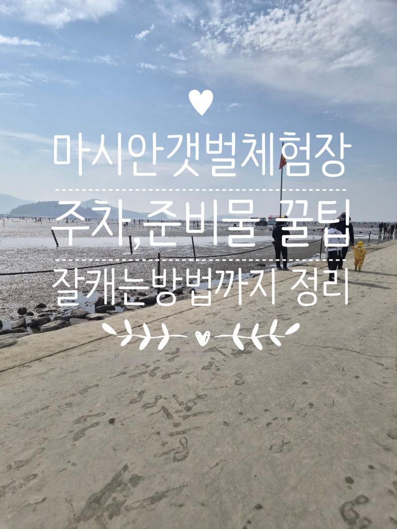 [인천 아이와 가볼만한곳] 마시안 갯벌체험장 후기 & 주차 꿀팁, 준비물, 조개 잘 캐는 법 (10....
