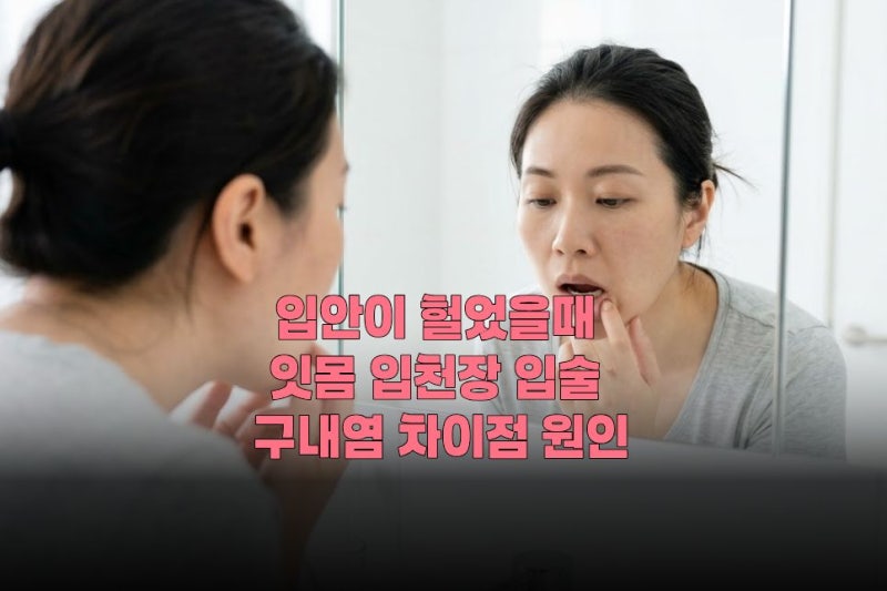 입안이 헐었을때 잇몸 입천장 입술 구내염 차이점 원인