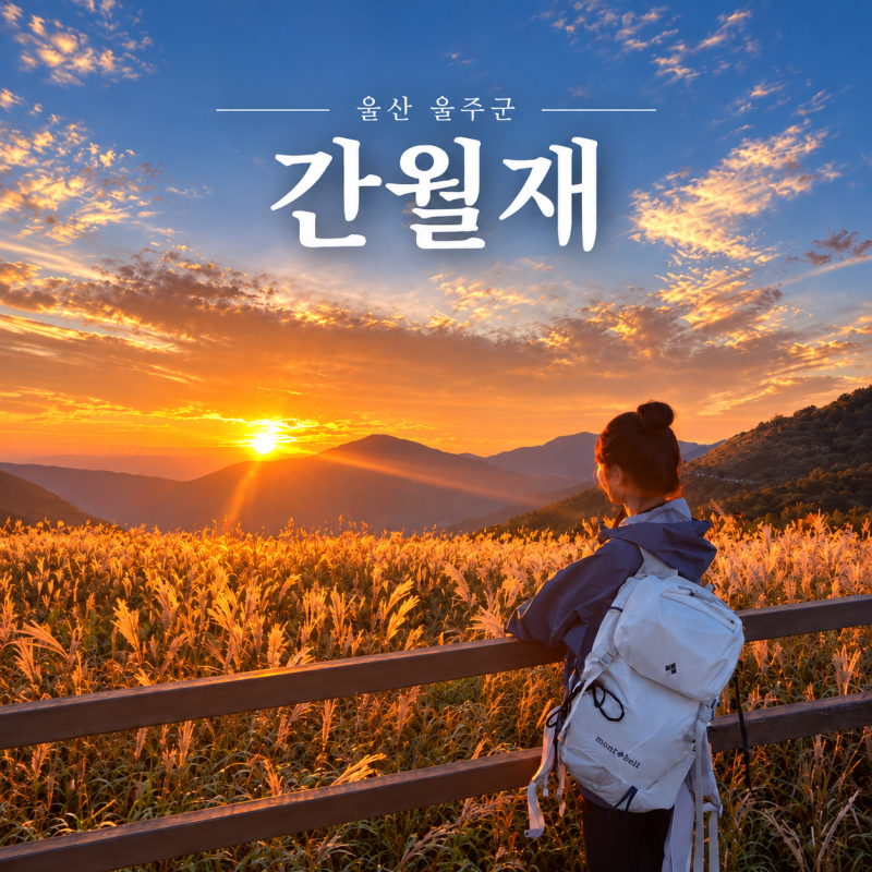 울산 간월재 일몰 명소 영남알프스 억새평원 노을 일몰 후기 주차/화장실/휴게소 꿀팁