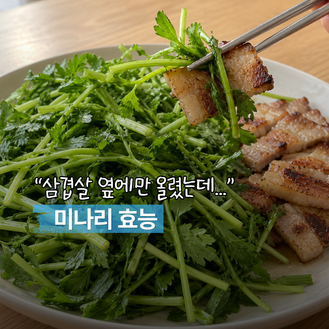 ‘삼겹살 옆에만 올렸는데…’ 미나리 효능, 먹기 전 알아둘 5가지