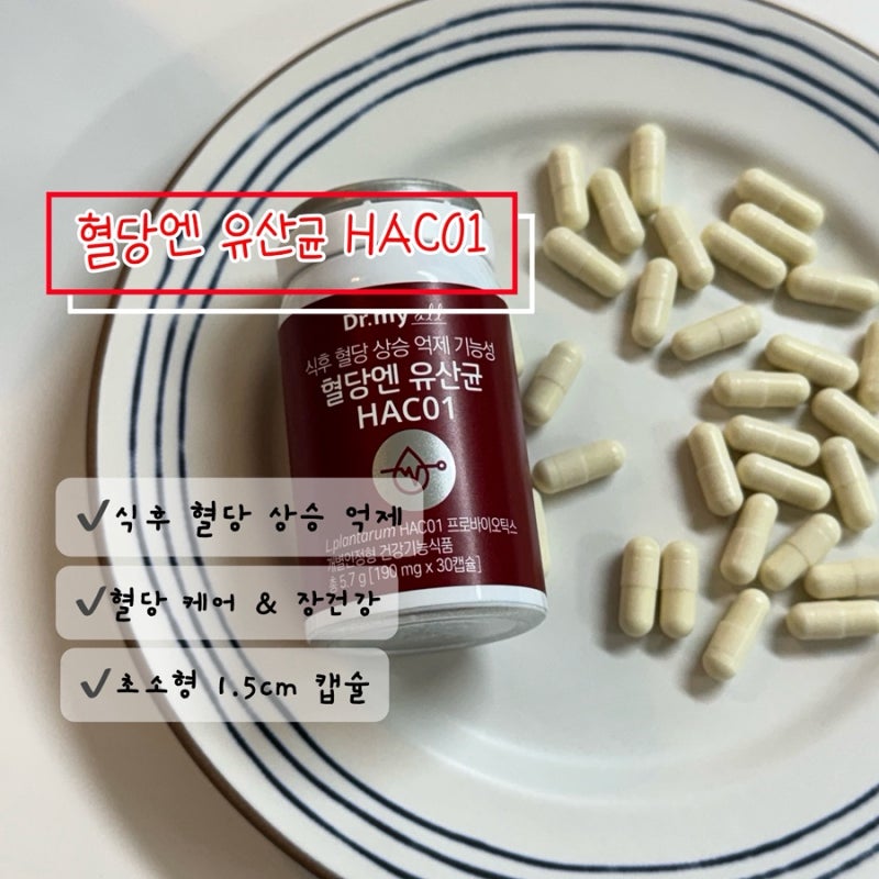 혈당 스파이크 증상 [에이투젠 혈당유산균 HAC01] 식후 혈당관리의 중요성!!