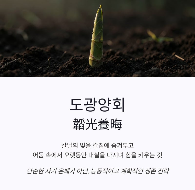 도광양회 뜻, 빛을 숨기고 힘을 기르는 삶의 지혜