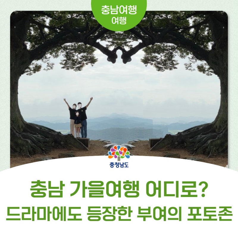 부여 여행 간다면 여기 꼭! 사진 찍으려고 줄 서는 성흥산 사랑나무