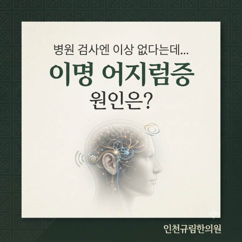 [인천검단] "병원 검사엔 이상 없다는데..." 귓속 소리(이명)와 어지럼증, 원인은 '뇌'가 아닌 '....