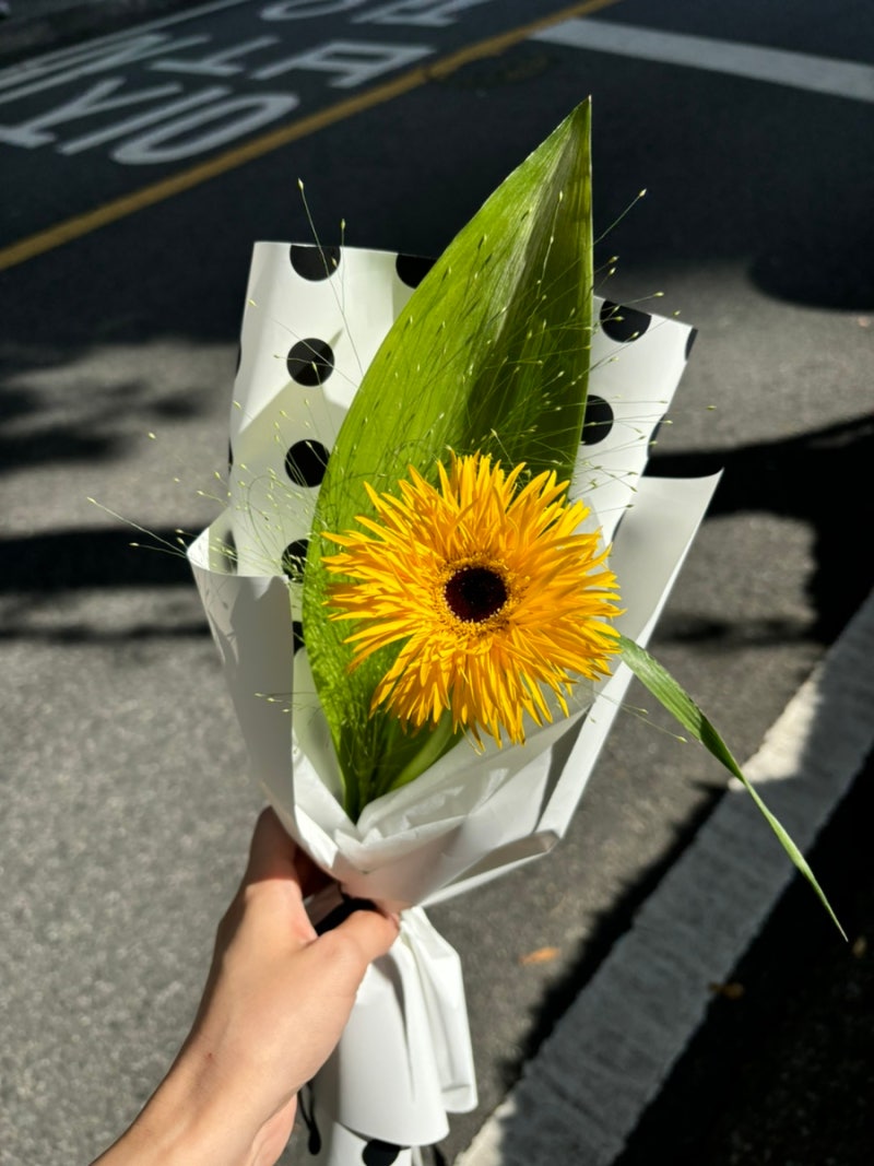 화명동 꽃집 추천 한 송이 꽃다발 가격부터 계절꽃 선물 추천까지