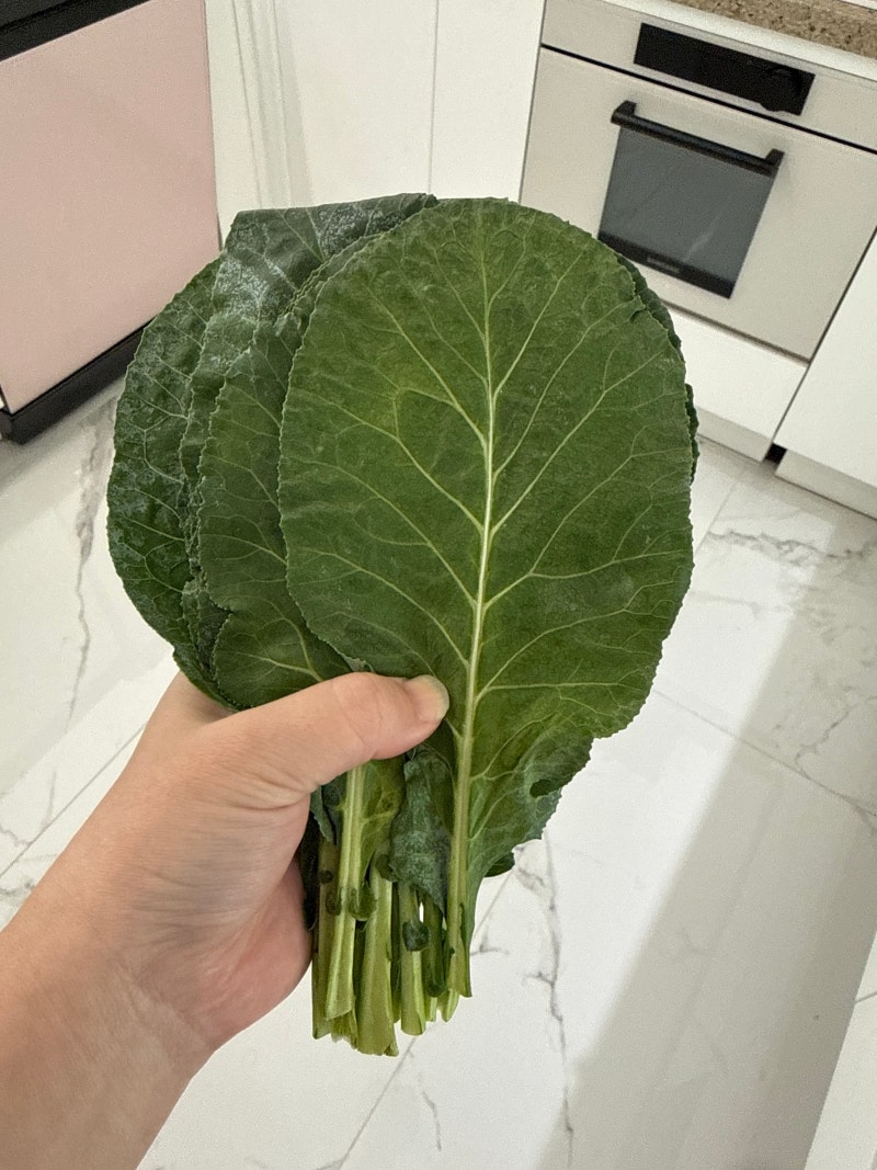 초록잎 영양, 케일효능 한끼에 담아 반찬으로 챙겨요