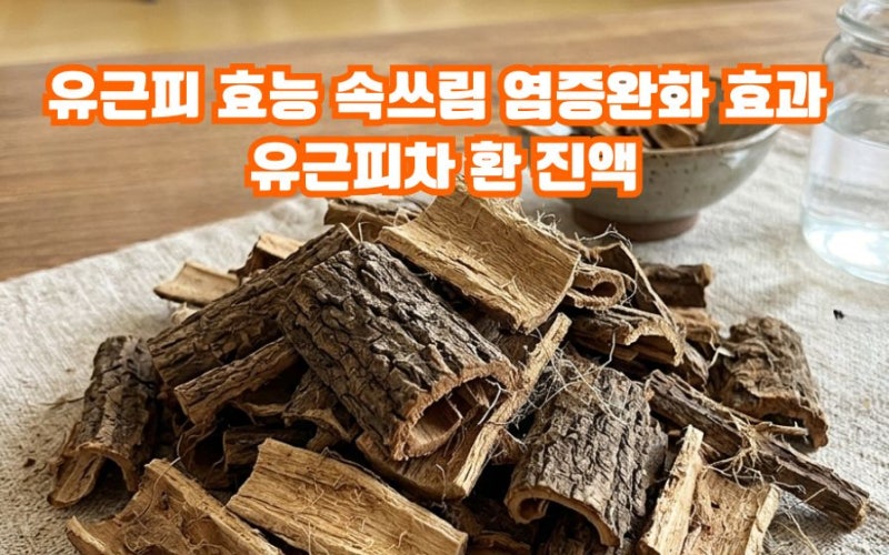 유근피 효능 부작용 속쓰림 염증완화 효과 팩트체크 유근피차 환 진액