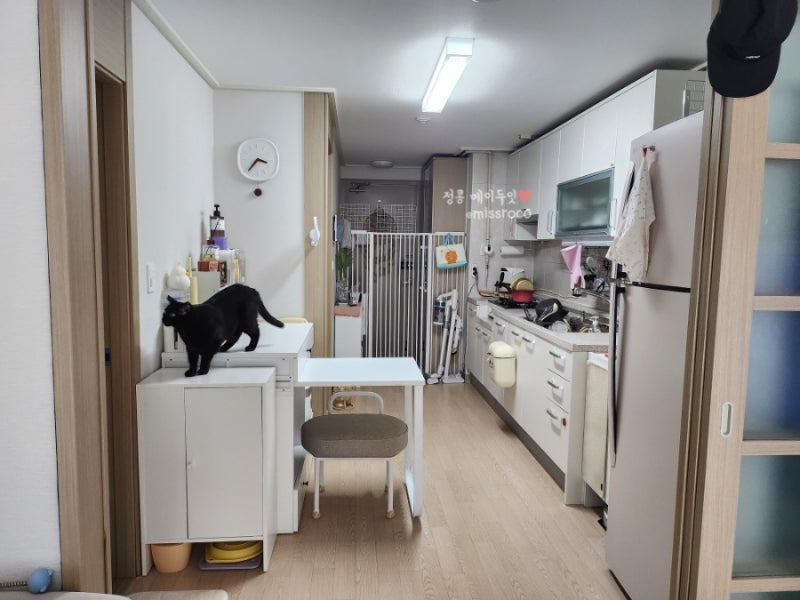 36형 고양이와 함께사는 1인가구 현실 인테리어