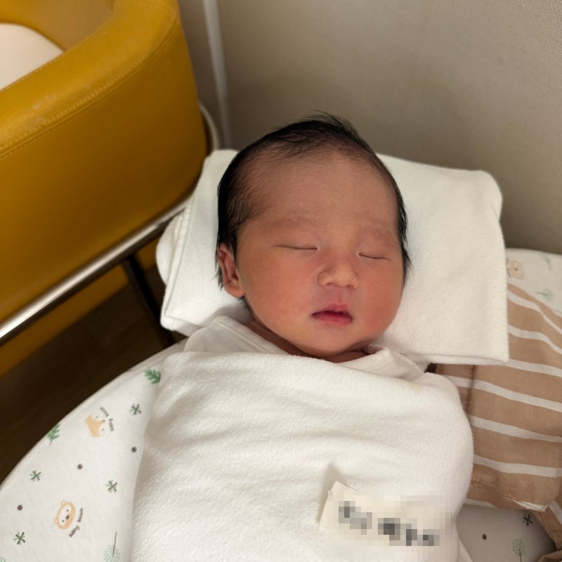 입작은 아기 젖꼭지 변천사