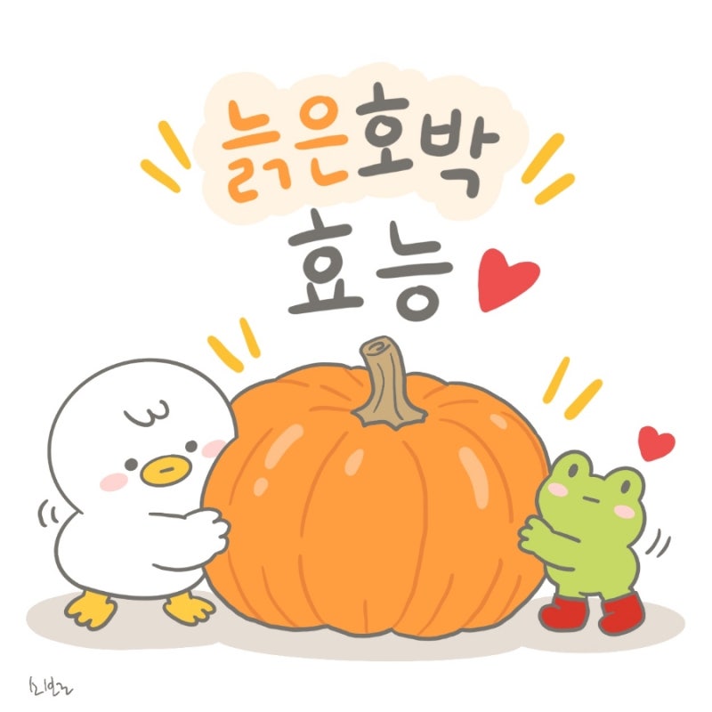 늙은 호박 효능과 수확시기, 손질법 보관법 늙은 호박 요리까지