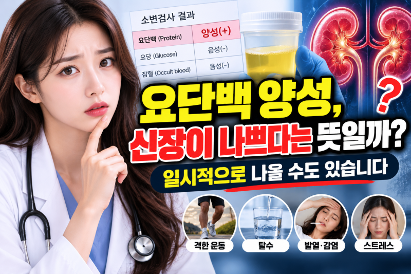 요단백 양성, 신장이 나쁘다는 뜻일까? 일시적으로 나올 수도 있습니다