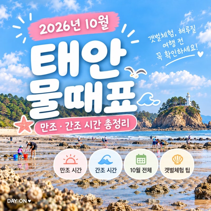 태안 물때표 2026년 10월 만조 간조 시간과 갯벌체험 팁