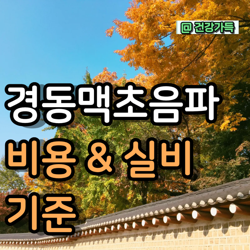 경동맥초음파 비용 및 실비 기준, 검사 방법과 결과 수치 정상 범위 총정리:병원 가기 전 꼭 ....