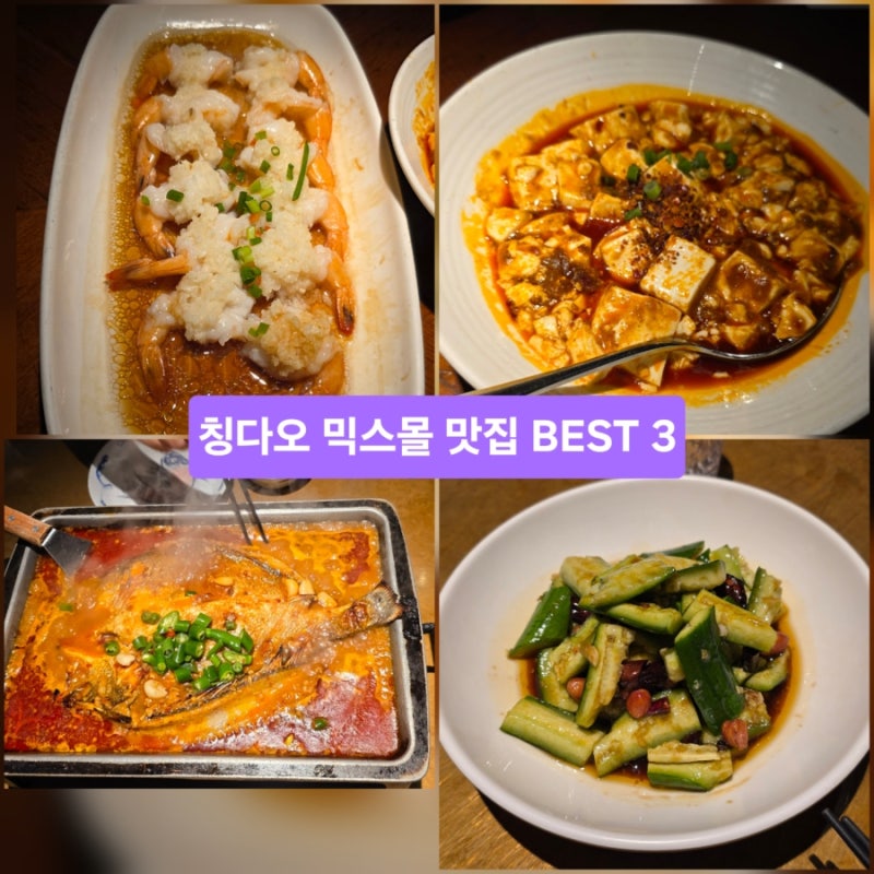 칭다오 믹스몰 맛집 BEST 3｜와이포지아·루위·소채원 실패 없는 리스트. 칭다오 가서 이거 안....