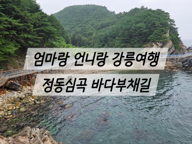 강릉 정동진 가족 여행 코스 추천 정동심곡 바다부채길 주차•입장료 할인