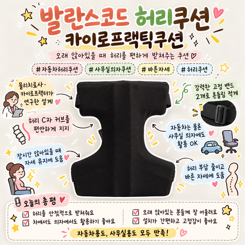 자동차 허리쿠션 추천 카이로프랙틱쿠션 차량용부터 사무실 등받이까지
