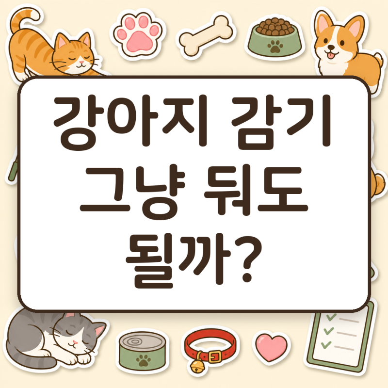 강아지 감기, 집에서 기다려도 될지 헷갈린다면 먼저 볼 것