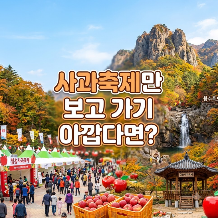 청송사과축제 1박2일 여행코스｜주왕산 주산지 송소고택 까지