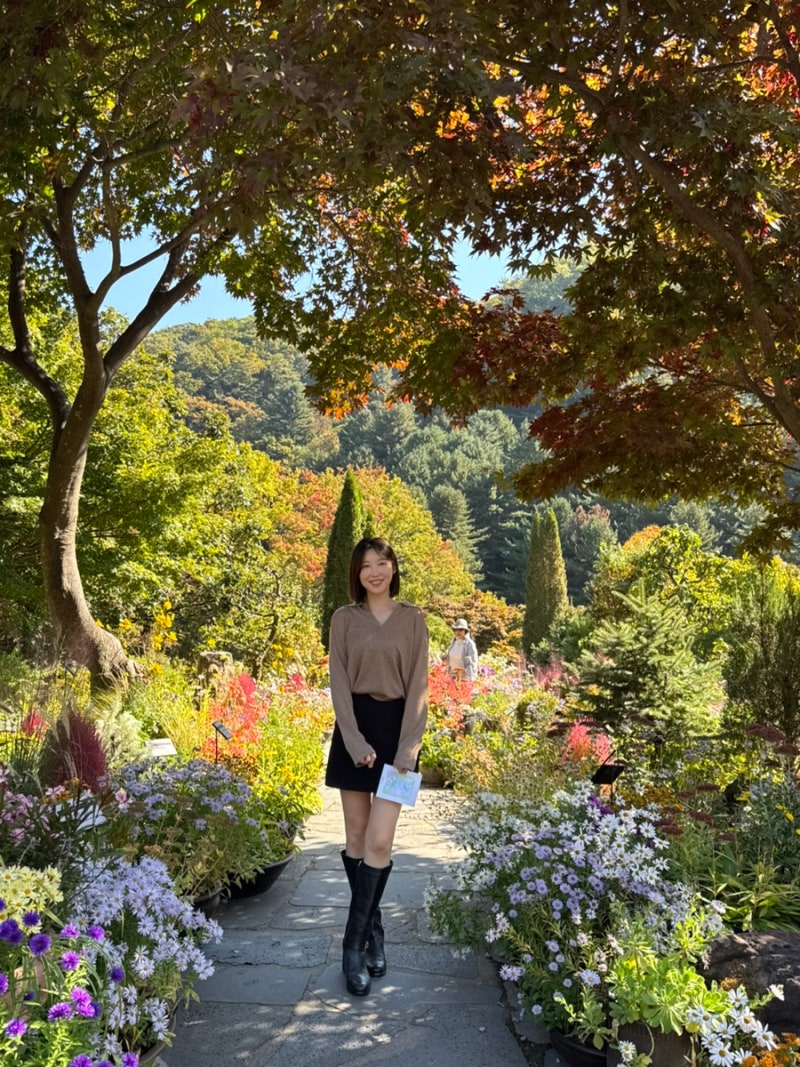 가평 가볼만한곳 아침고요수목원 가을 단풍 현황 & 필수 포토존 7곳