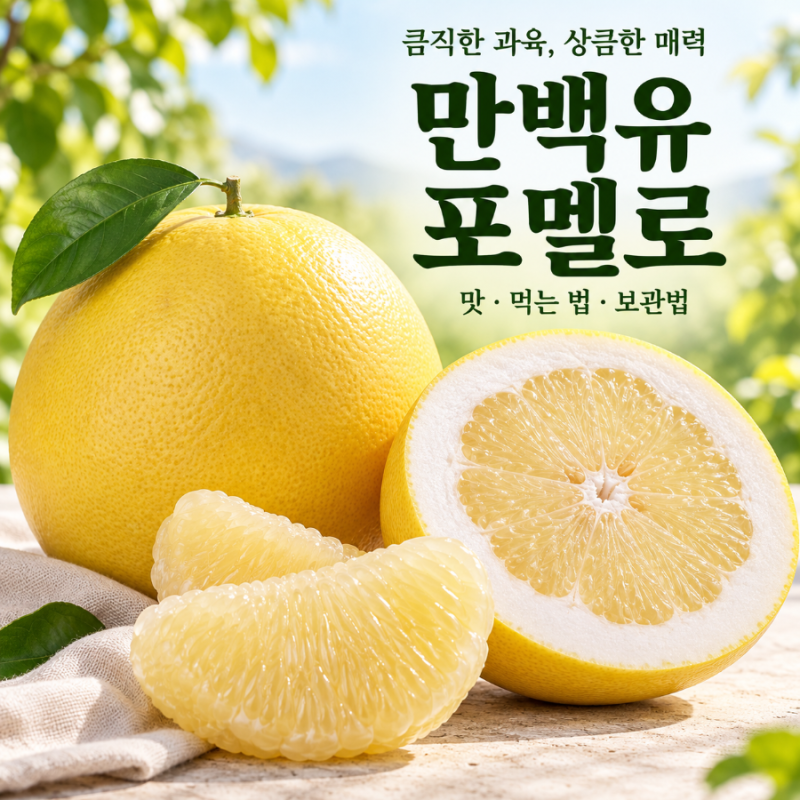 만백유 포멜로, 자몽과의 차이부터 맛·먹는 법·보관법까지