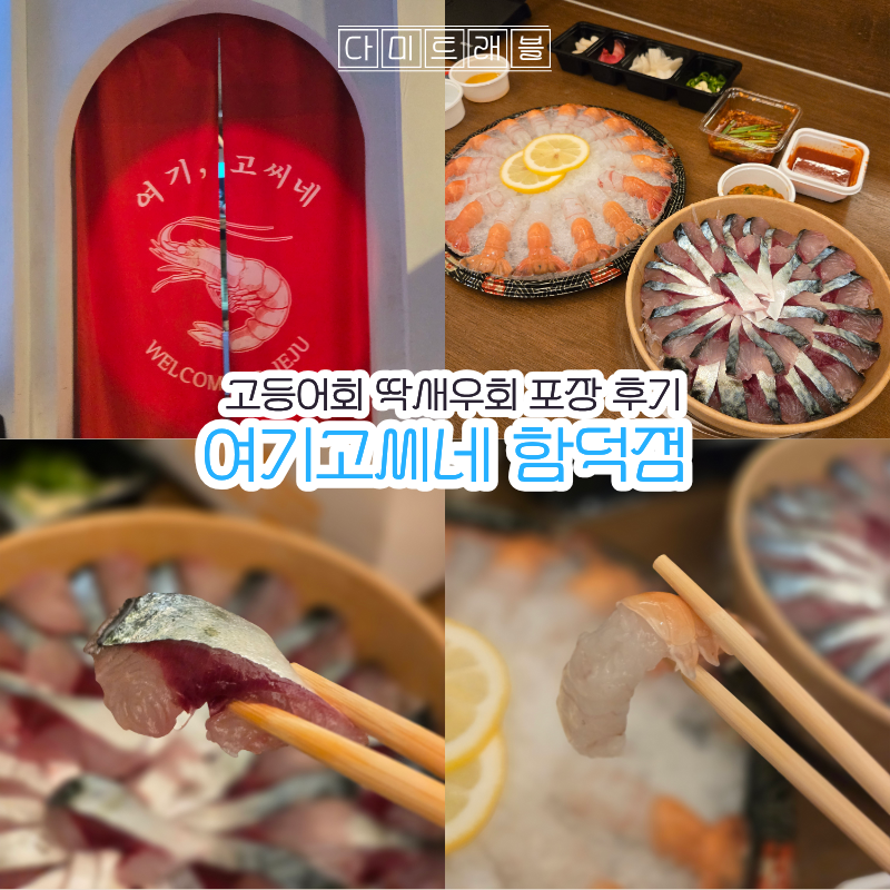 제주 함덕 맛집 여기고씨네 함덕점 고등어회 딱새우회 포장 후기