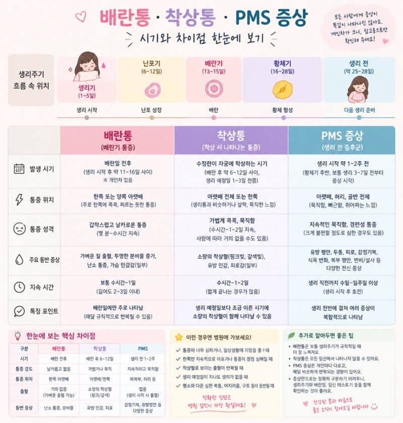 배란통 착상통 PMS(생리전증후군) 증상놀이 시작? 증상별 차이점 비교 및 임신테스트 시기