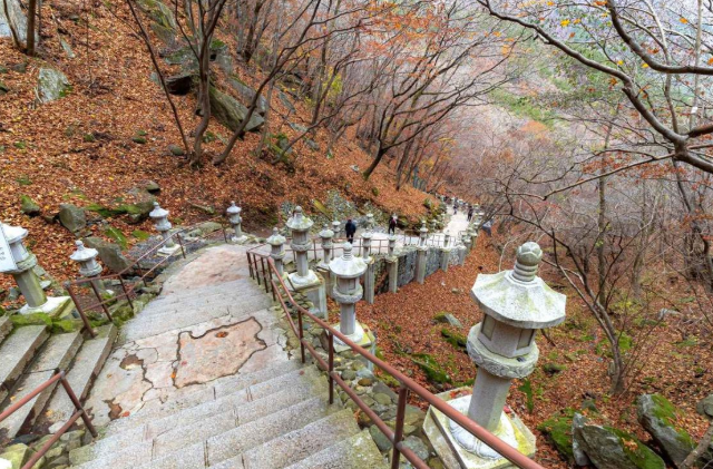 2026 대구 팔공산 단풍 명소 BEST 4｜갓바위·동화사·케이블카 가을 여행 코스 총정리!