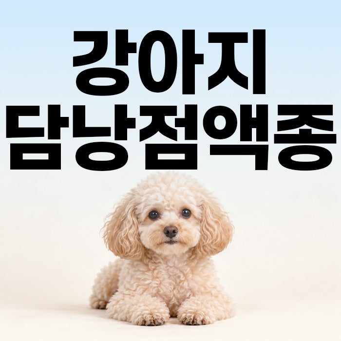 강아지 담낭점액종, 담낭제거수술이 필요한 경우는?