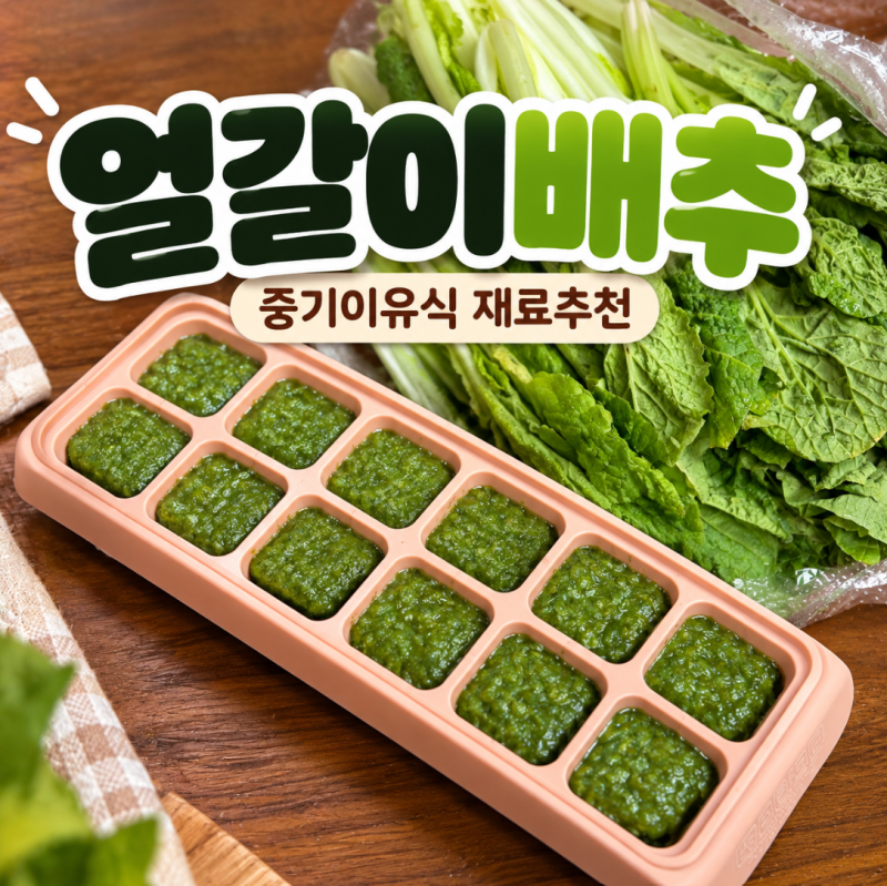 8개월아기 중기이유식 재료 추천, 얼갈이배추 효능 큐브 만들기