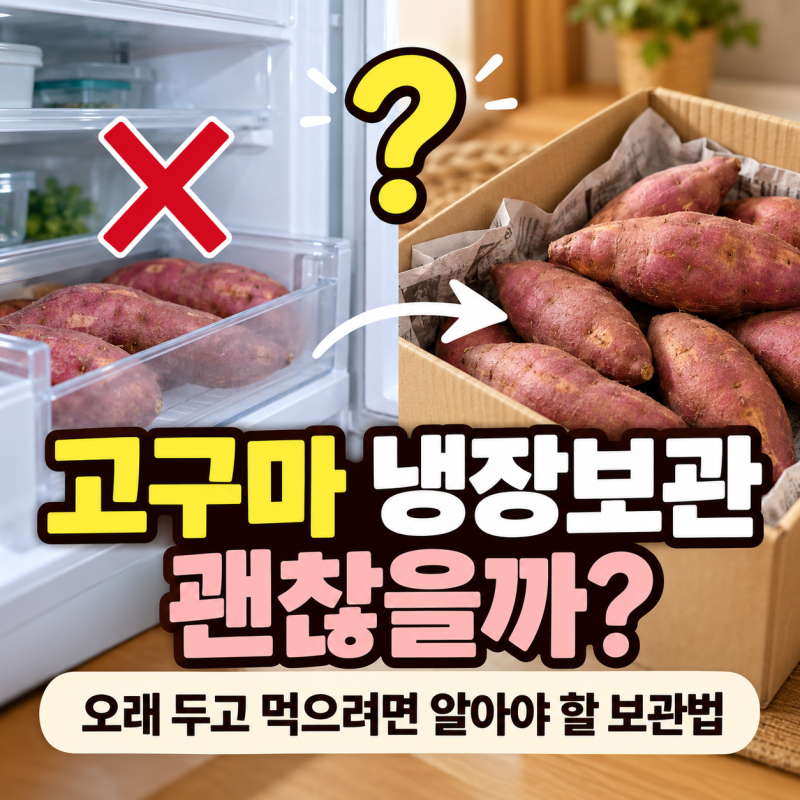 고구마 냉장보관 괜찮을까? 오래 두고 먹으려면 알아야 할 보관법