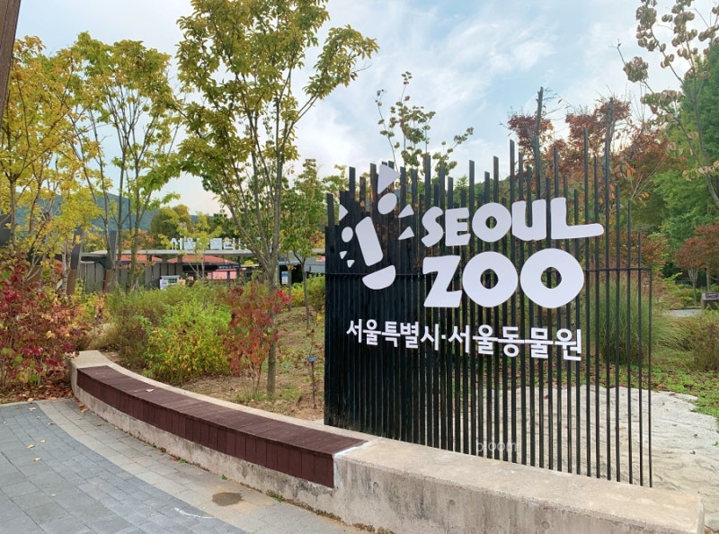 10월 가볼 만한 곳 - 과천 서울 대공원, 동물원 입장료 할인, 주차, 오늘 다녀온 찐 후기
