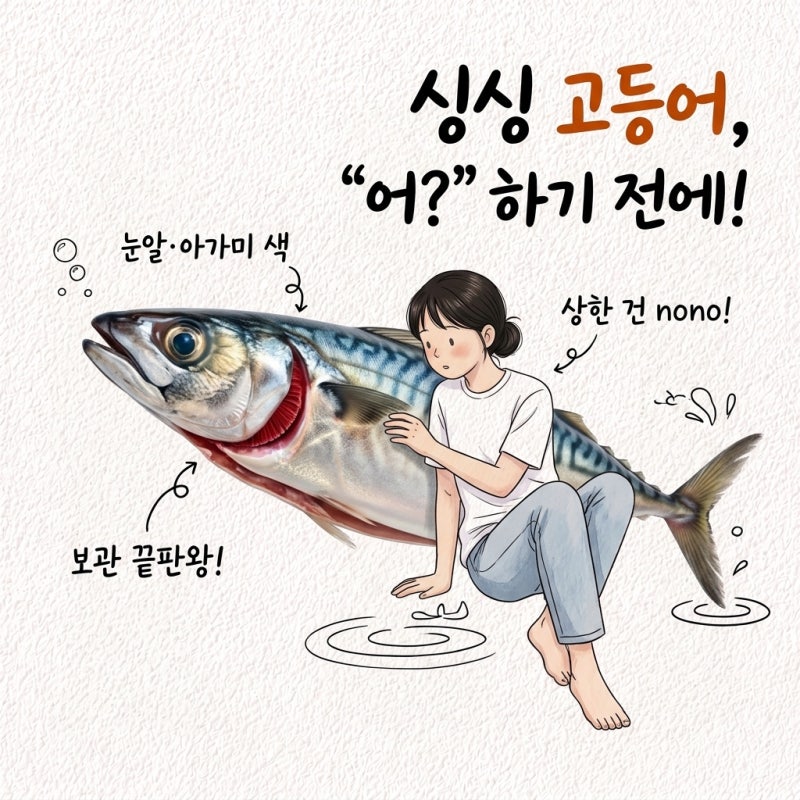 "하루 만에 배가 터졌어요" 고등어 신선한 거 눈알 아가미 색깔 냄새 상한 거 보관법