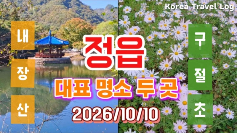 정읍 여행 가을 여행 정읍가볼만한곳 정읍 대표 명소 두 곳 내장산국립공원 정읍 구절초 꽃....