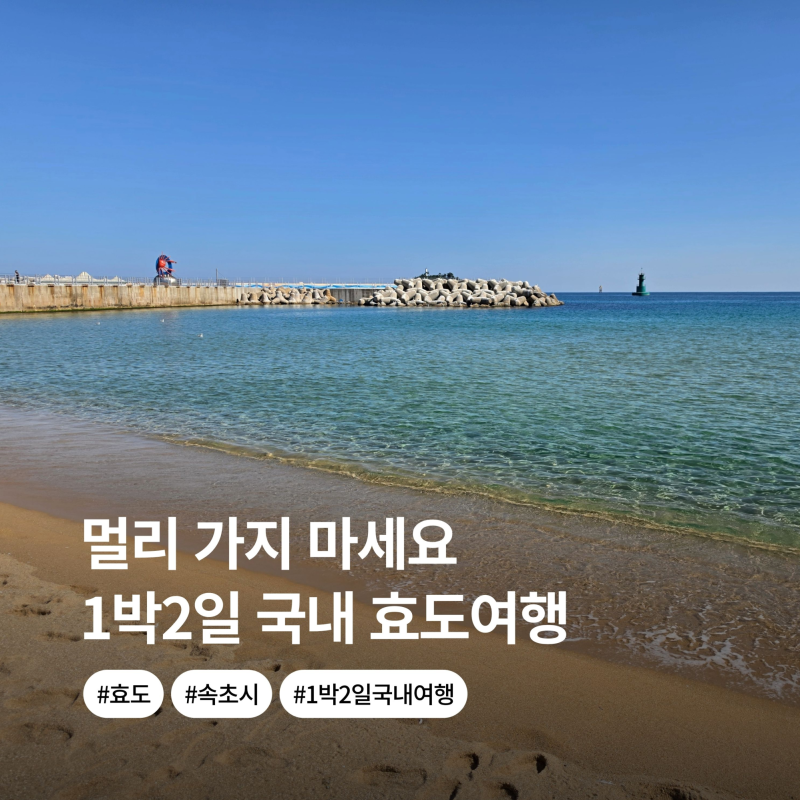 "해외 갔다가 후회한다는데..." 실패 없는 1박 2일 속초 효도여행 추천 코스