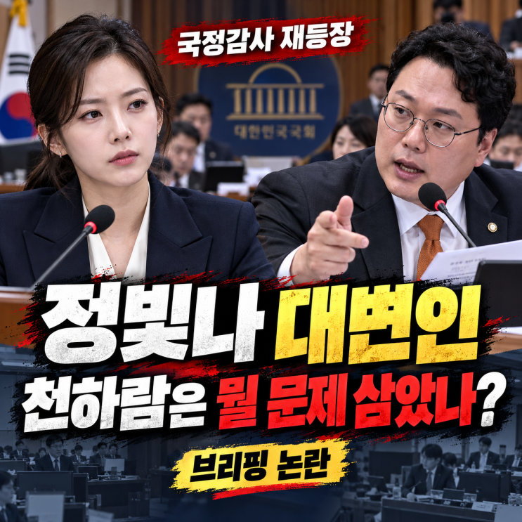 국정감사 <b>정빛나 국방부 대변인</b>, 천하람 의원은 무엇을 문제 삼았나....