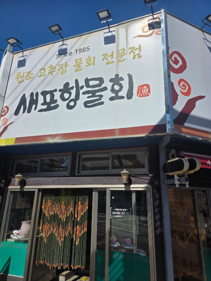 포항 고추장물회 현지인맛집 '새포항물회집' (feat.나는 현지인이 아니었다)