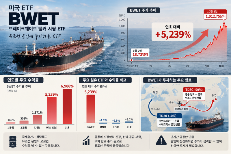 1000만원이 5억원 됐다? 미국 ETF BWET 5000% 폭등, 지금 사면 위험한 이유