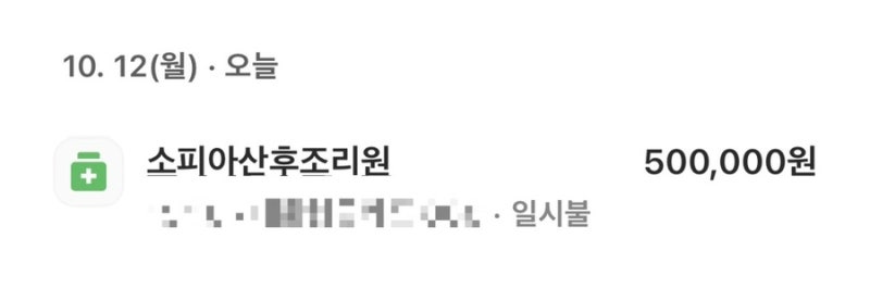[임신초기 5] 임신 5주 0일차｜산후조리원 예약 완료, 송파 조리원 알아보기