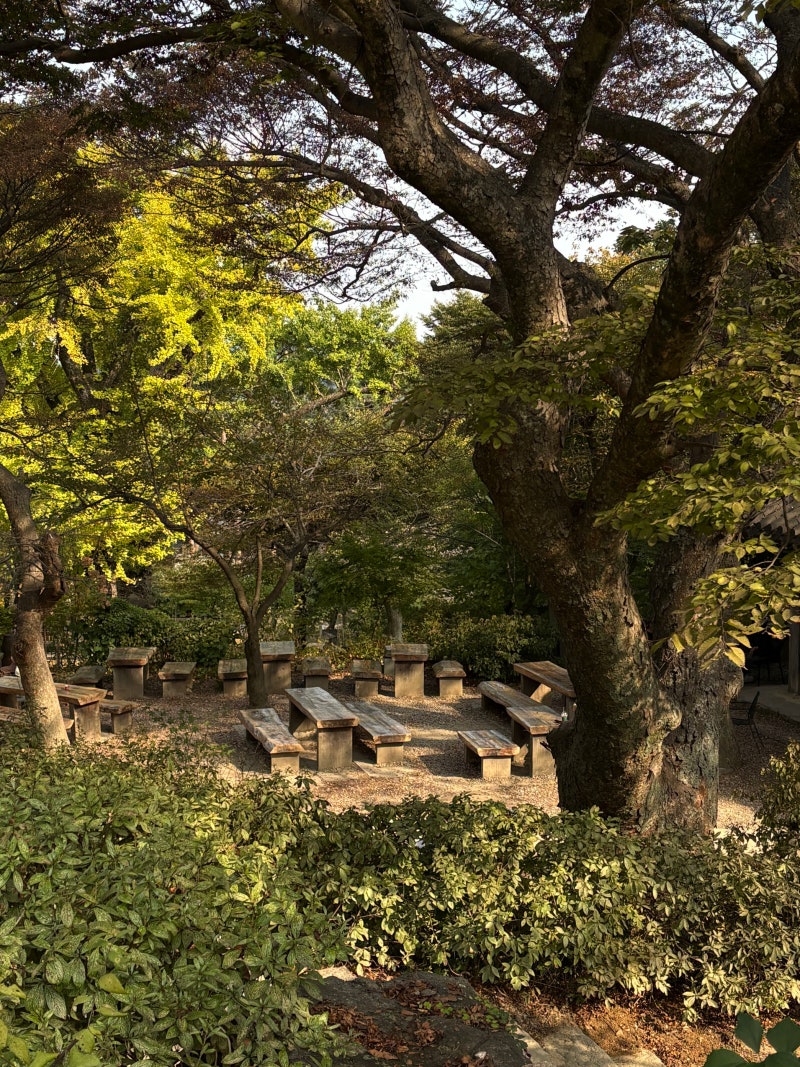 이번 주말 어디 가지? 부모님·아이와 가기 좋은 강화도 당일치기 역사 여행 코스 추천 ✨