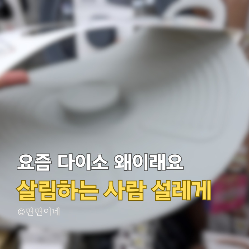 요즘 다이소 왜 이러나요? 살림하는 사람 설레게
