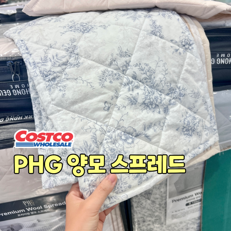 코스트코 PHG HOME 박홍근홈패션 양모 양면 스프레드 싱글사이즈 할인 가격 침대 패드 추천템